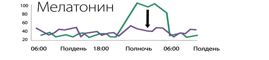 ++++++Без заголовка.png